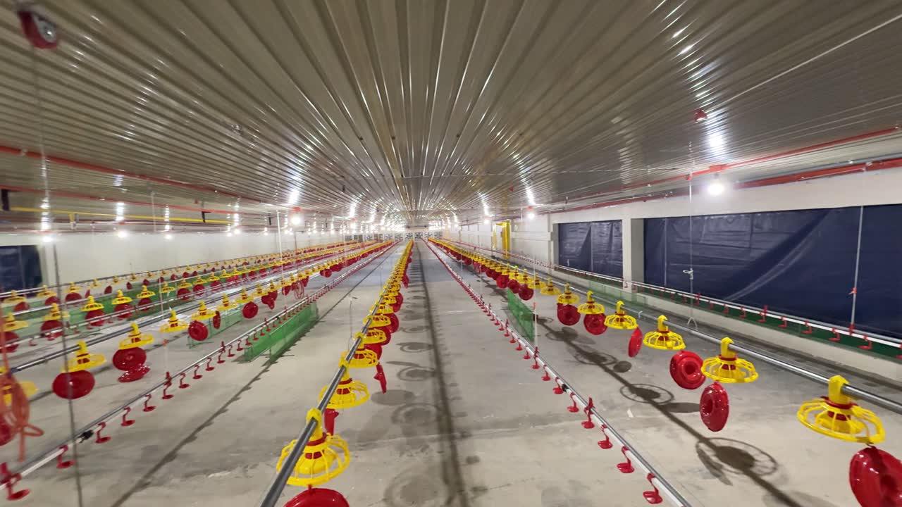 Feed and drinker lines installed inside our new broiler house