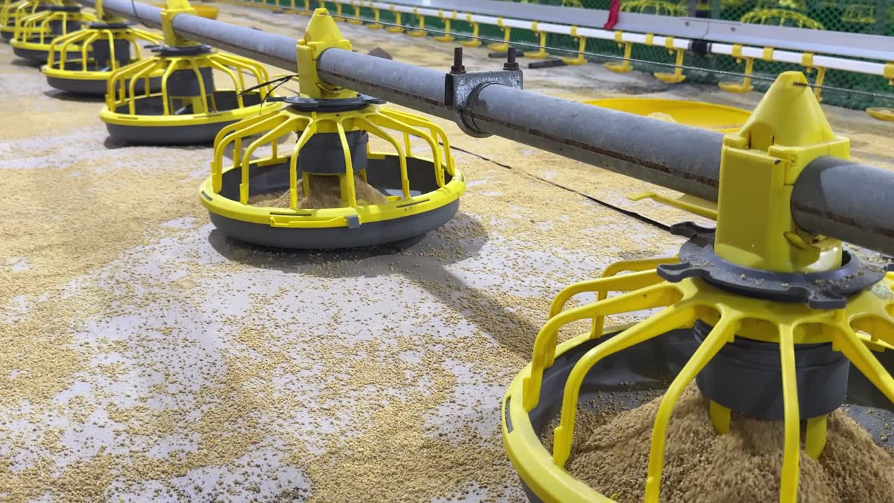 Feeder pans on an installed feed line
